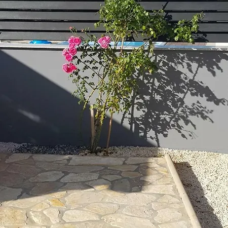 Haus Milly With Pool Дом отдыха Крница